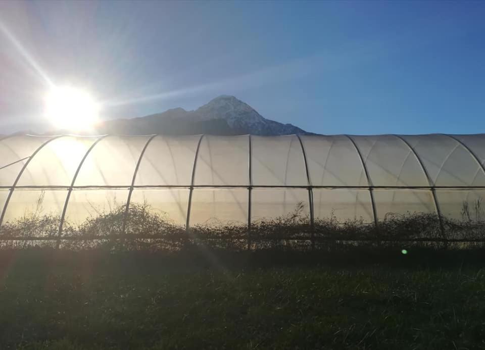 Aparthotel Cascina Borgofrancone Gera Lario Exterior foto